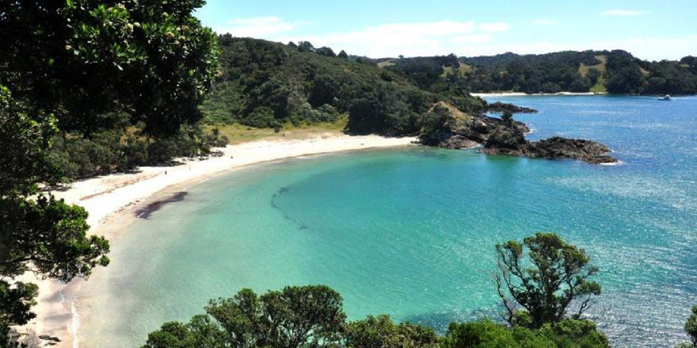 Best Beaches on Waiheke Island